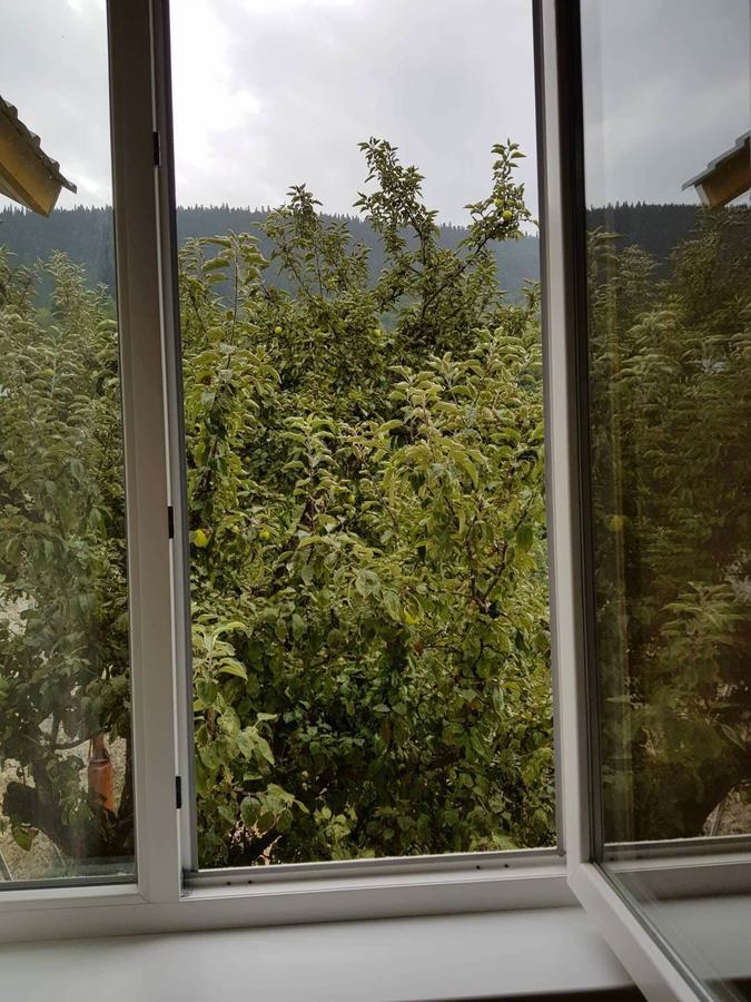 Guesthouse Guram Baba เมสเตีย ภายนอก รูปภาพ