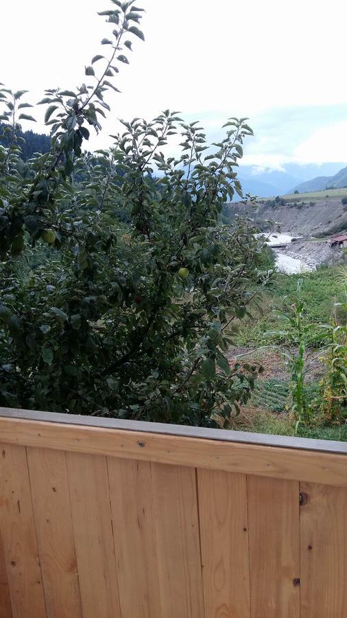 Guesthouse Guram Baba เมสเตีย ภายนอก รูปภาพ
